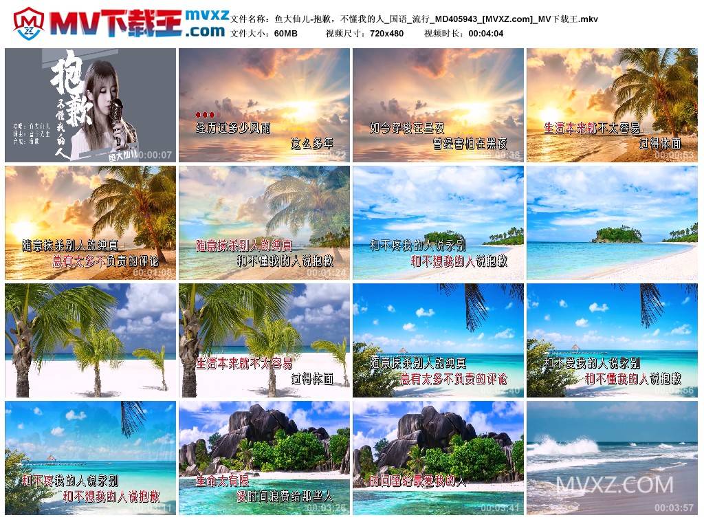 鱼大仙儿-抱歉，不懂我的人_国语_流行_MD405943